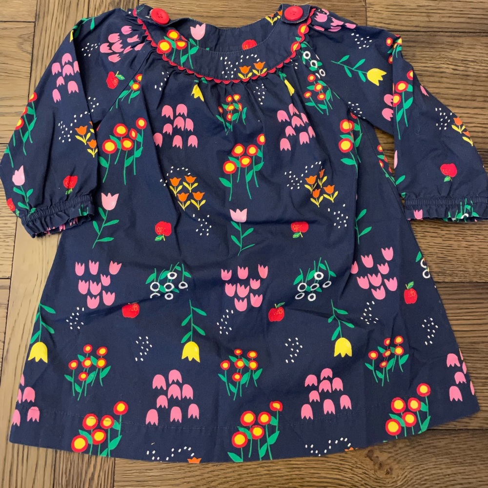Hanna Andersson Floral Dress